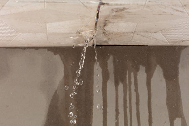 Professional Burst Pipe Cleanup technician working in Jefferson, TX
